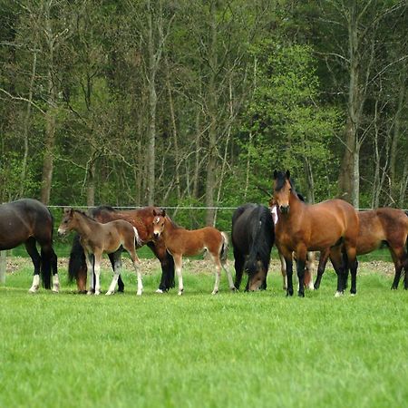 Filippus Vakantiehoeve Maldegem Luaran gambar